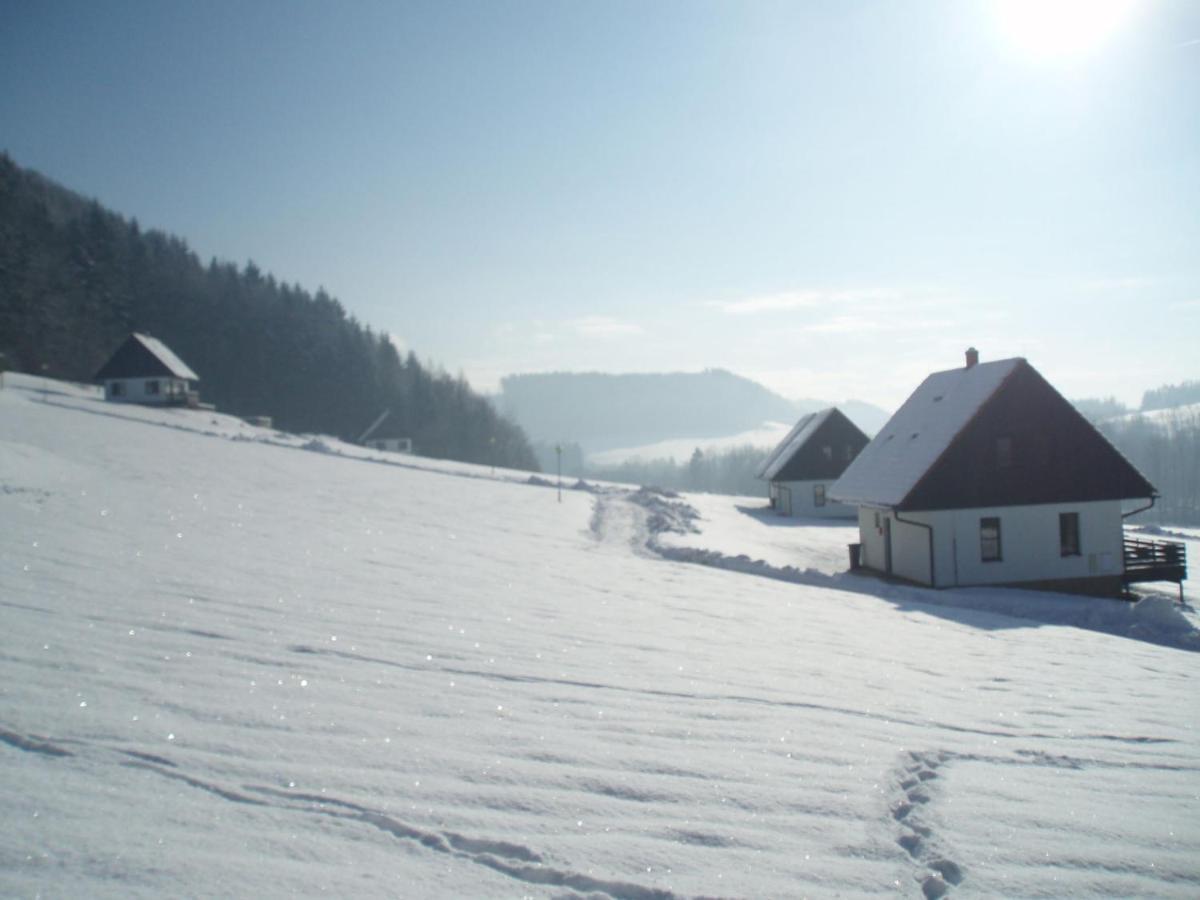 Holiday Home Stárkov Esterno foto