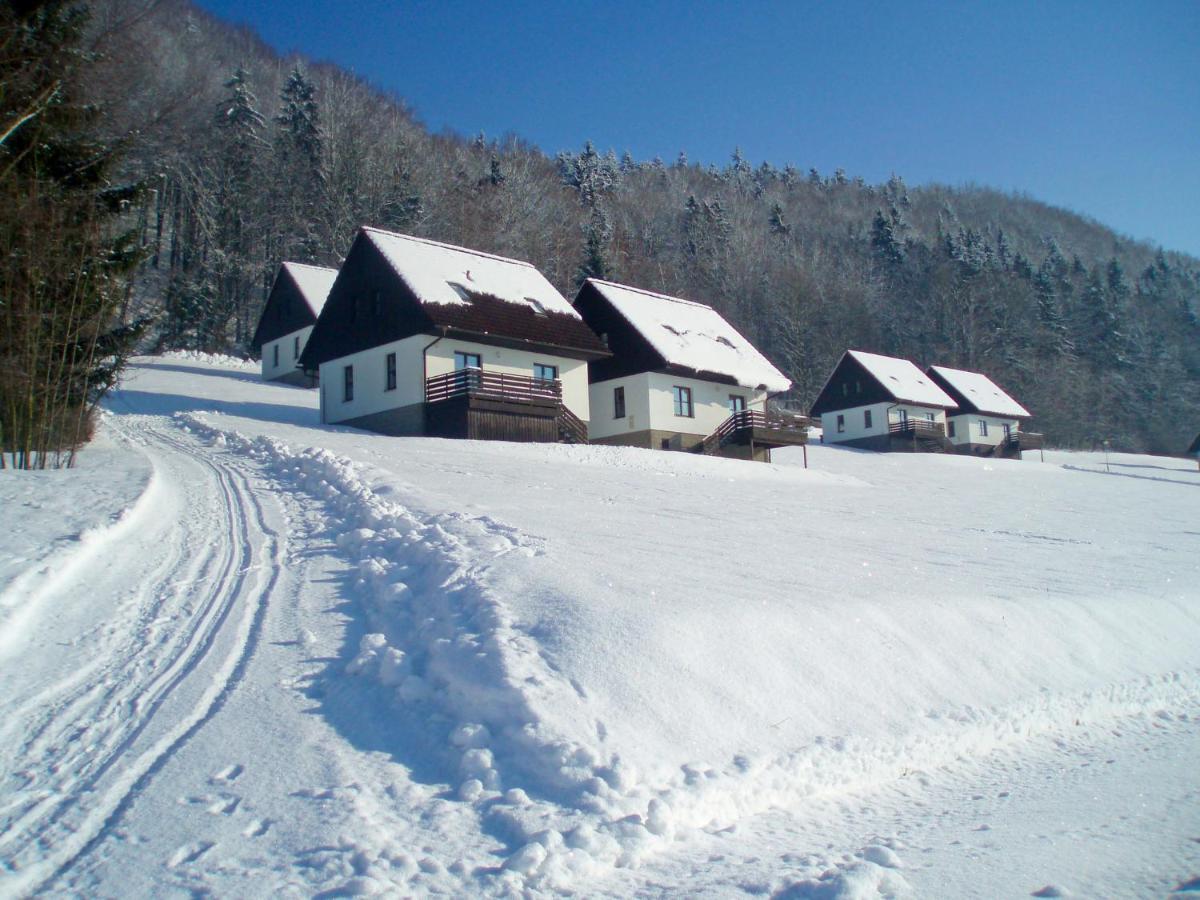 Holiday Home Stárkov Esterno foto
