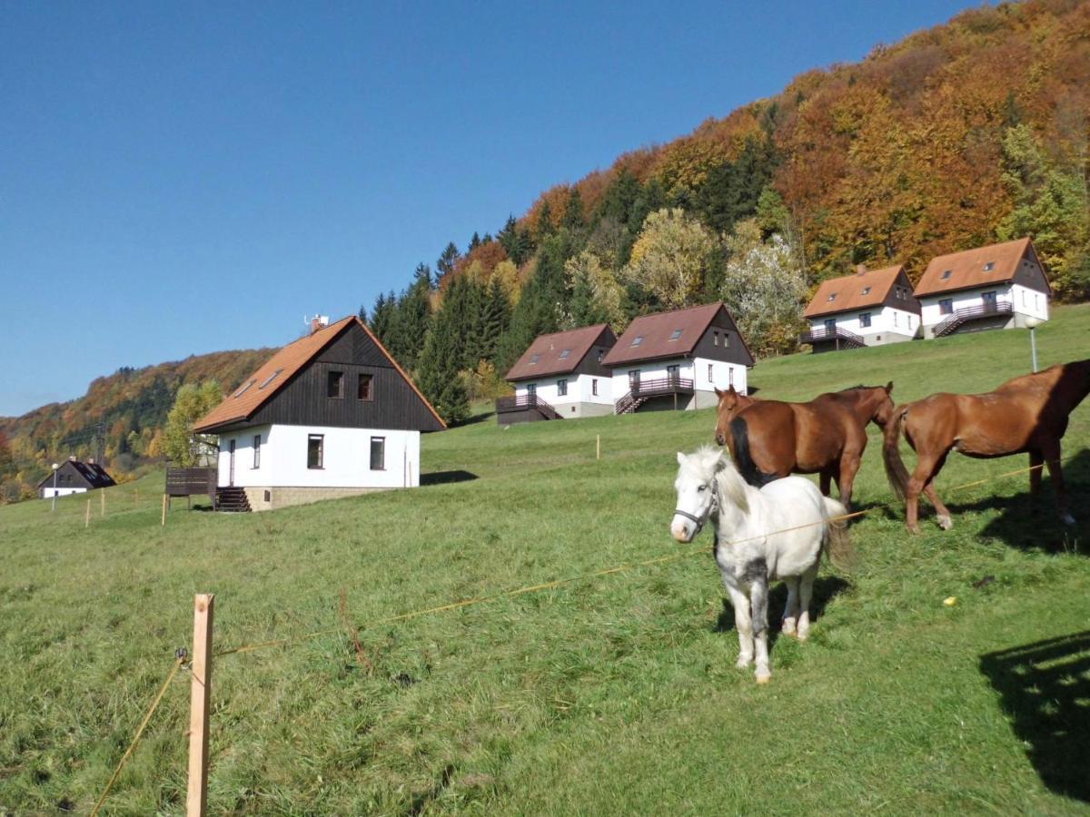 Holiday Home Stárkov Esterno foto