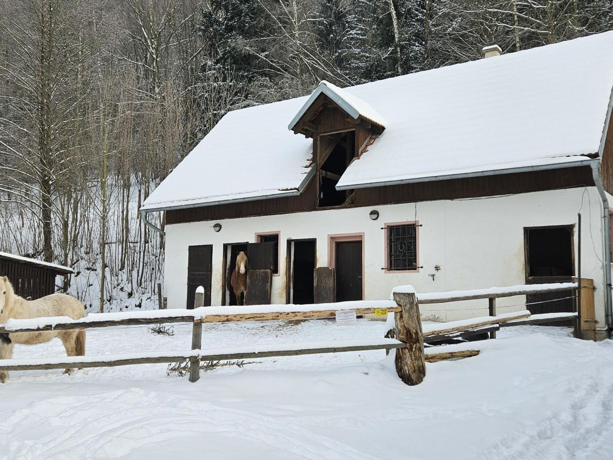 Holiday Home Stárkov Esterno foto